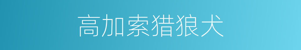 高加索猎狼犬的同义词