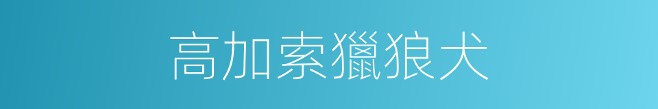 高加索獵狼犬的同義詞