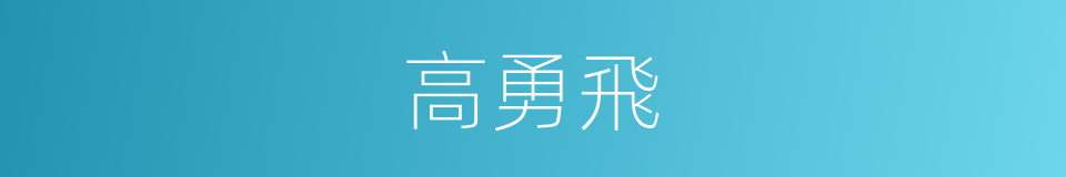 高勇飛的同義詞