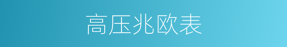 高压兆欧表的同义词