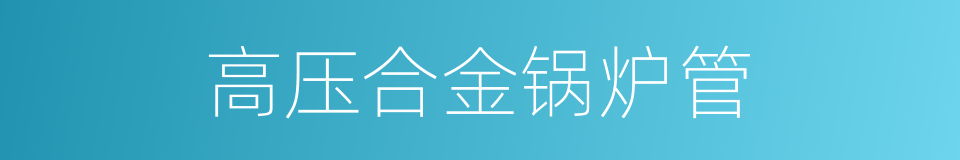 高压合金锅炉管的同义词