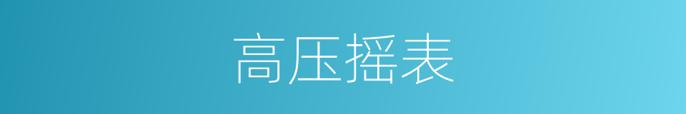 高压摇表的同义词