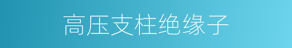 高压支柱绝缘子的同义词