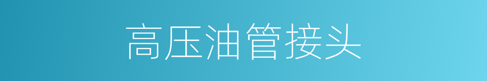 高压油管接头的同义词