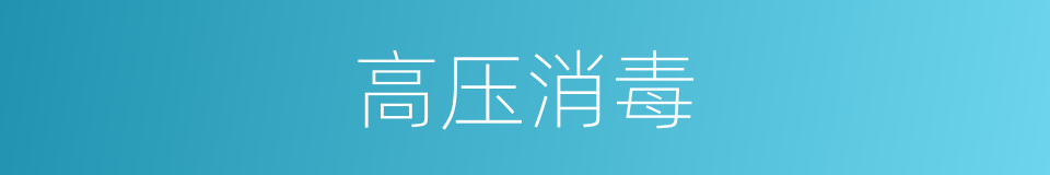 高压消毒的同义词