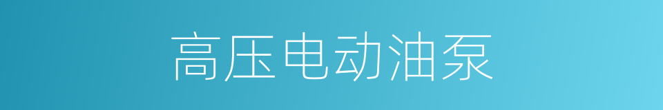 高压电动油泵的同义词