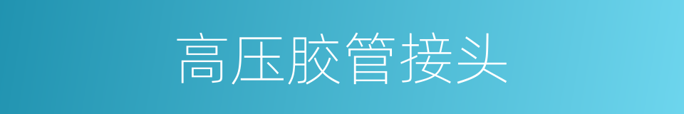 高压胶管接头的同义词