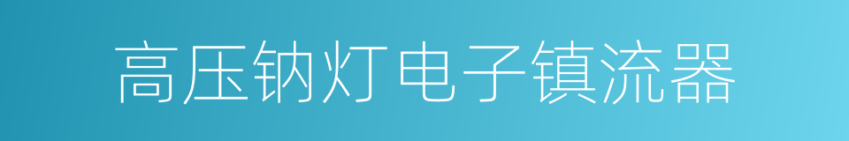 高压钠灯电子镇流器的同义词