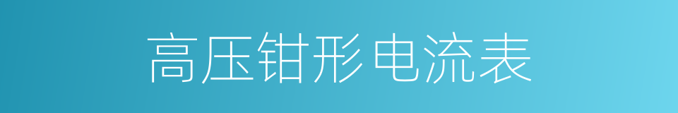 高压钳形电流表的同义词