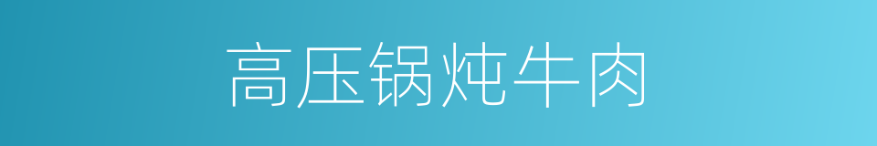 高压锅炖牛肉的同义词