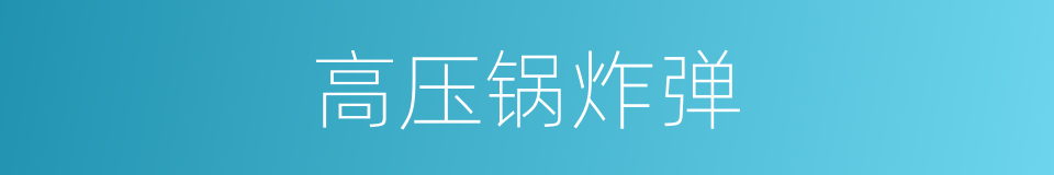 高压锅炸弹的同义词