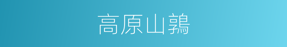 高原山鶉的同義詞