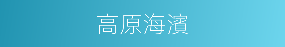 高原海濱的同義詞