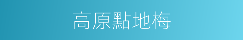 高原點地梅的同義詞