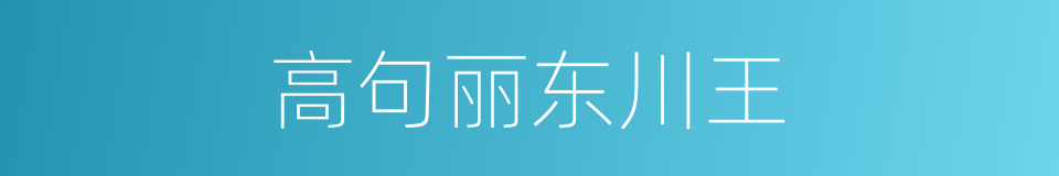 高句丽东川王的同义词