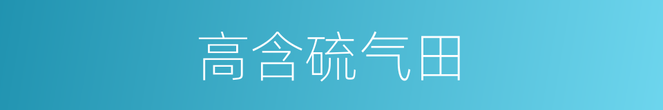 高含硫气田的同义词