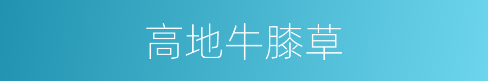 高地牛膝草的同义词