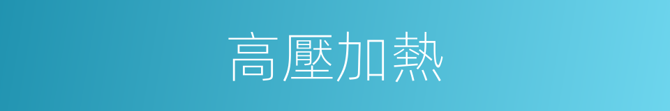 高壓加熱的同義詞