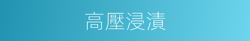 高壓浸漬的同義詞