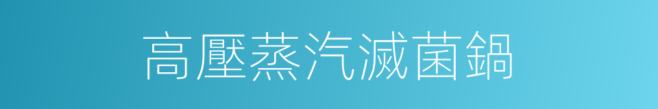 高壓蒸汽滅菌鍋的同義詞