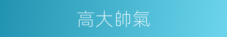 高大帥氣的同義詞
