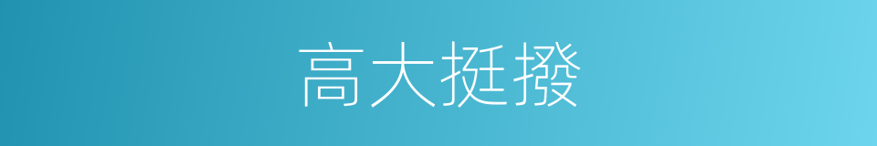 高大挺撥的同義詞