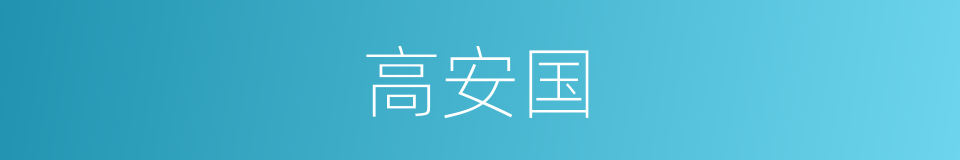 高安国的同义词