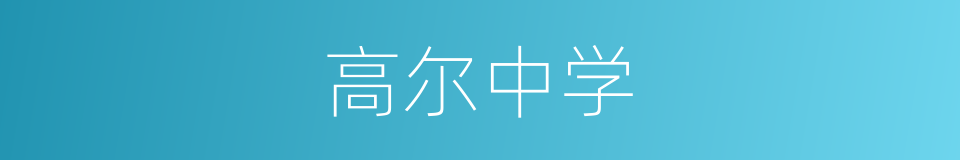 高尔中学的同义词
