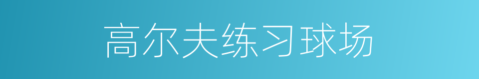 高尔夫练习球场的同义词