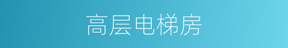 高层电梯房的同义词