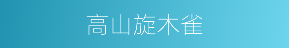 高山旋木雀的同义词