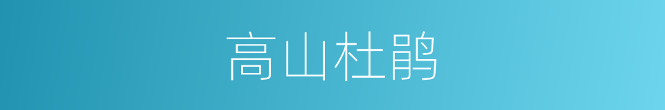 高山杜鹃的同义词