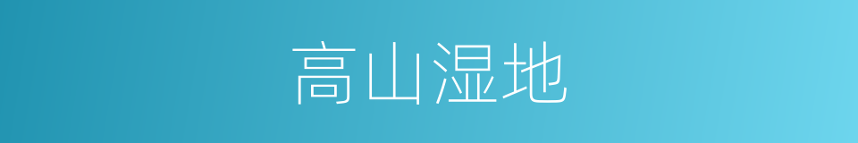 高山湿地的同义词