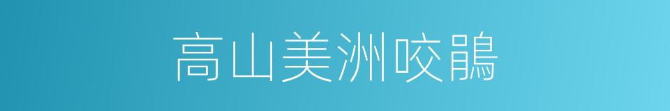 高山美洲咬鵑的同義詞
