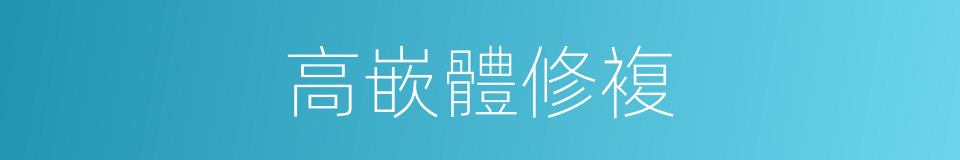 高嵌體修複的同義詞