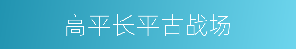 高平长平古战场的同义词