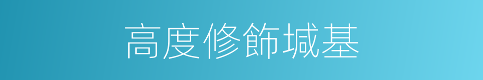 高度修飾堿基的同義詞