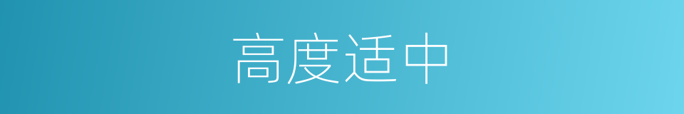 高度适中的同义词