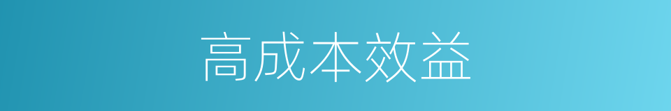 高成本效益的同义词