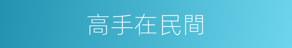 高手在民間的意思