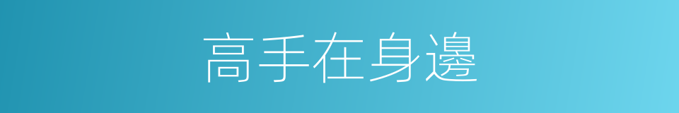 高手在身邊的同義詞
