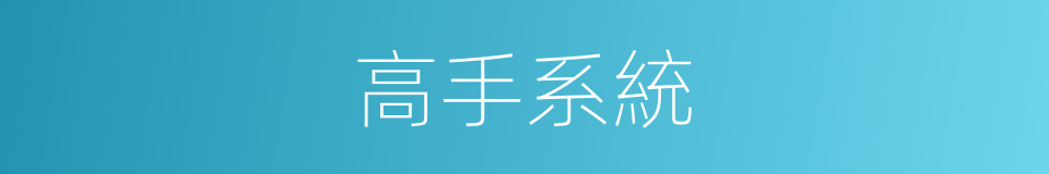 高手系統的同義詞