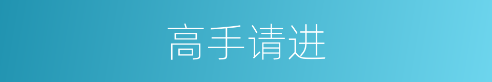 高手请进的同义词