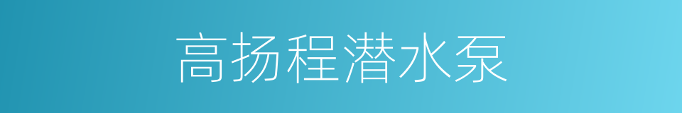 高扬程潜水泵的同义词