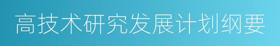 高技术研究发展计划纲要的同义词