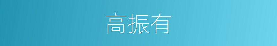 高振有的同义词