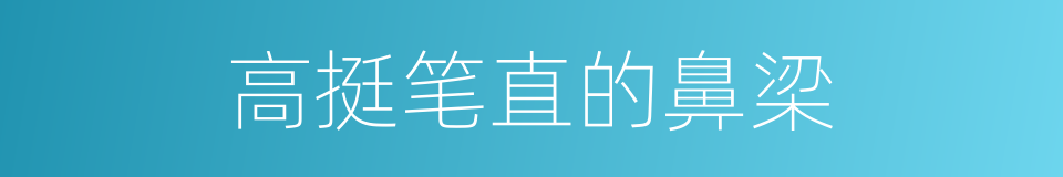 高挺笔直的鼻梁的同义词