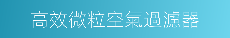 高效微粒空氣過濾器的同義詞