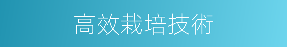 高效栽培技術的同義詞
