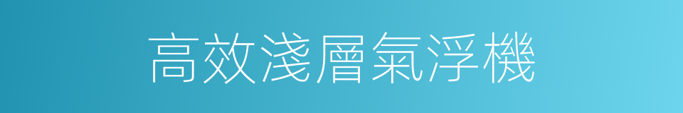 高效淺層氣浮機的同義詞